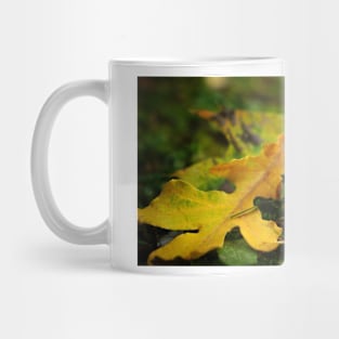 Bur Acorn with Autumn Leaves Mug